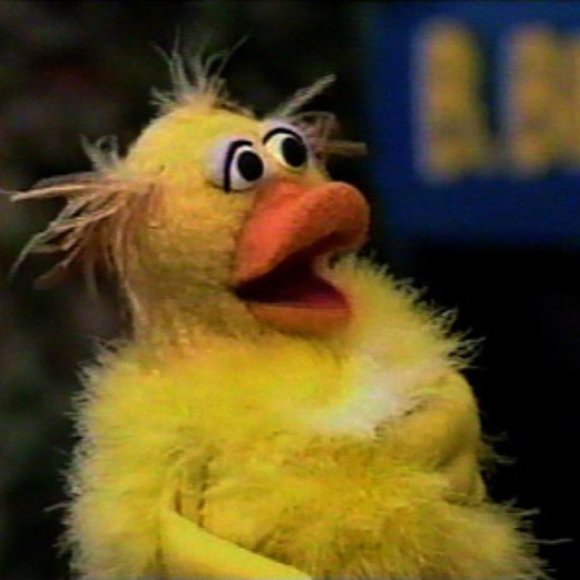 Meet your Posher, Miranda - Picture 1 of 1